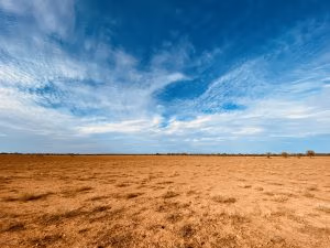 Mithaka - Channel Country