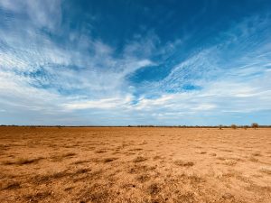 Mithaka - Channel Country